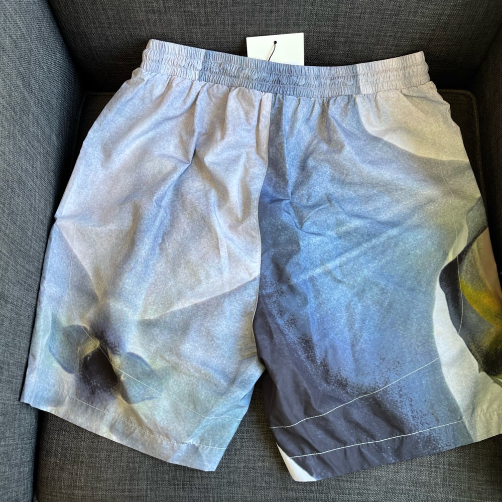 IISE mens track shorts